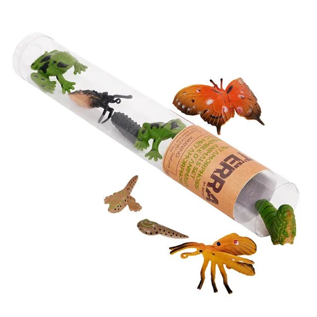 Terra 10-Pcs Metamorphosis Animals 4-8cm AN2891Z — image 4