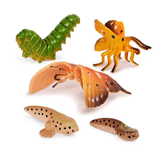 Terra 10-Pcs Metamorphosis Animals 4-8cm AN2891Z - Colorland Toys