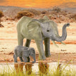 Terra African Elephant Family AN2727Z