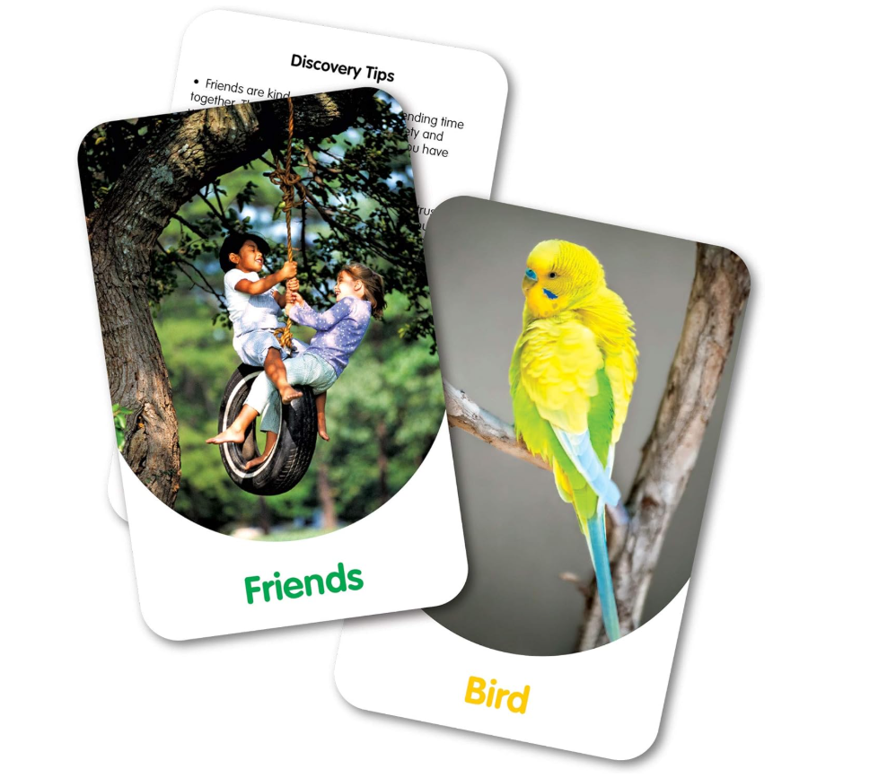 The Learning Journey Discover Cards In and Around 772539 — image 3