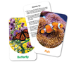 The Learning Journey Discover Cards Out and About 757765