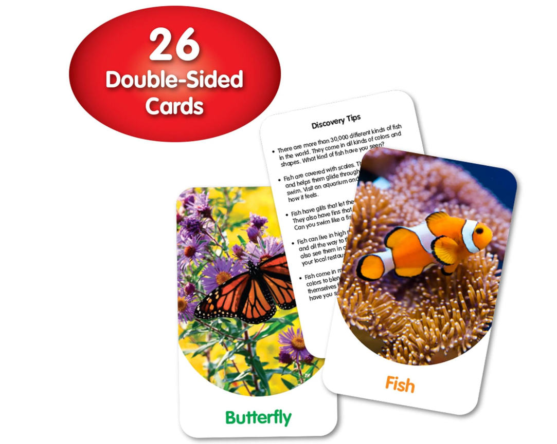 The Learning Journey Discover Cards Out and About 757765 — image 4