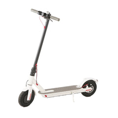 Top Gear Electric Scooter White 36V TG 900 - Colorland Toys