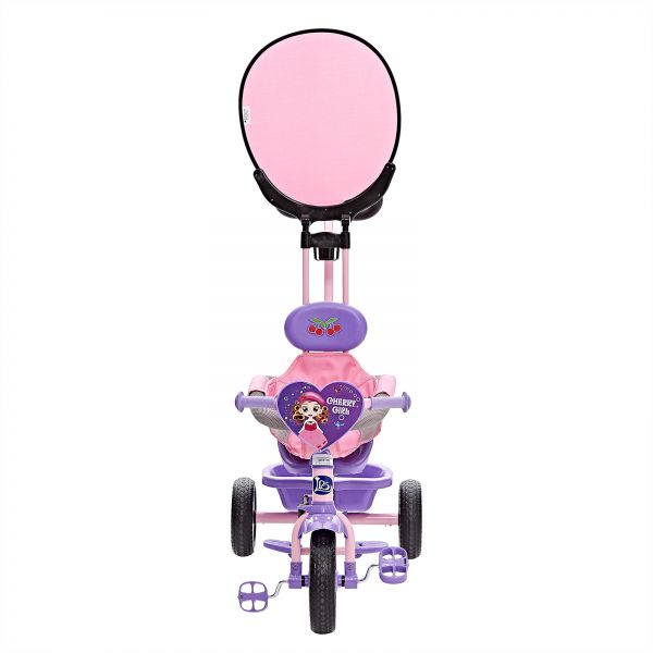 Tricycle for Kids Pink Purple DX-455 — image 1