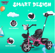 Tricycle Pink JCT3088