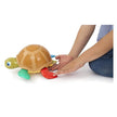 Turtle Fun Game 10376