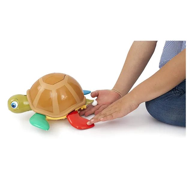 Turtle Fun Game 10376 — image 3