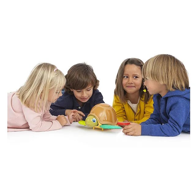 Turtle Fun Game 10376 — image 2