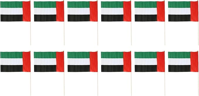 UAE FLAG STICK 30X45 - Colorland Toys