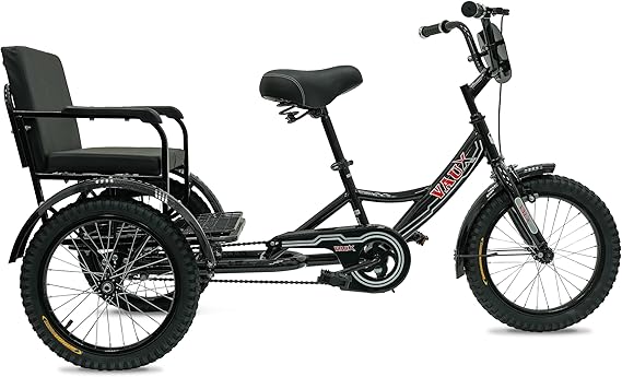 Vaux Tricycle 12 Back Seat Black — image 1