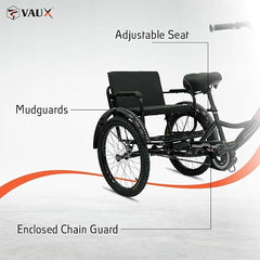 Vaux Tricycle 12 Back Seat Black - Colorland Toys