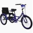 Vaux Tricycle 16 Back Seat Blue
