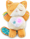 VTECH Calming Purrs Kitten VT80-575003