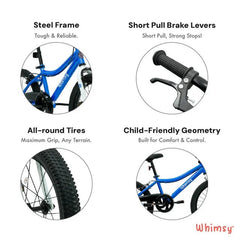 Whimsy Classic Bicycle 20 Inch Blue WM20CL - BL - Colorland Toys