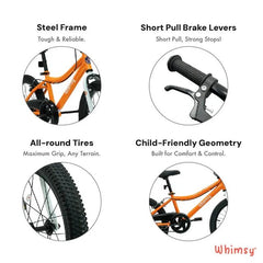 Whimsy Classic Bicycle 20 Inch Orange WM20CL - OR - Colorland Toys