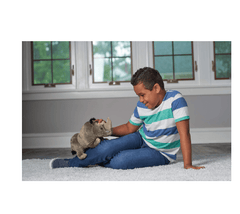 White Rhino Plush 18156 - Colorland Toys