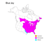 Wild Republic Blue Jay 18225
