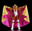 WWE Elite Collection Action Figure Hulk Hogan Legends