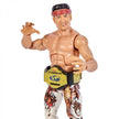 WWE Elite Collection Series 93 Ricky The Dragon HDF25/GDF60