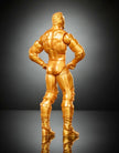 WWE Elite The Rock Gold Collector's Edition Action Figure