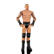 WWE Randy Orton Action Figure HKP44/GDF62