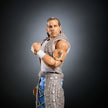 WWE Summer Slam Shawn Michaels HVF76/JCJ56