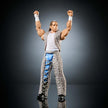 WWE Summer Slam Shawn Michaels HVF76/JCJ56