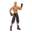 WWE True Action Figure Brock Lesnar DJJ16