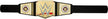 WWE Universal Championship Belt Gold HYJ35