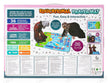 Yi Ma Toys Educational Prayer Mat 36 Sensitive Keys Girls SY008G