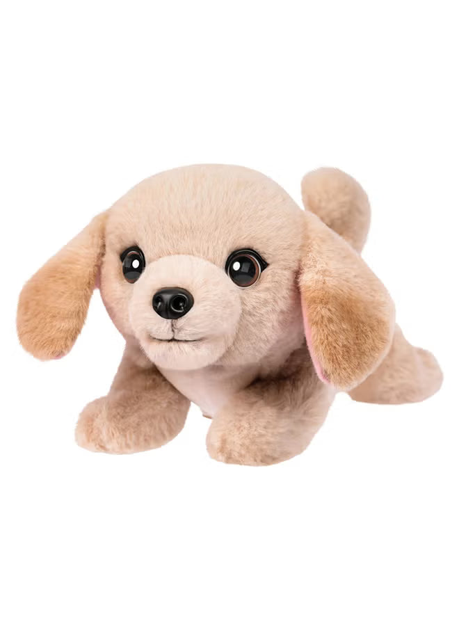 Little Live Pets MRR S2 Puppy Mini - Colorland Toys