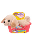 Little Live Pets MRR S2 Puppy Mini