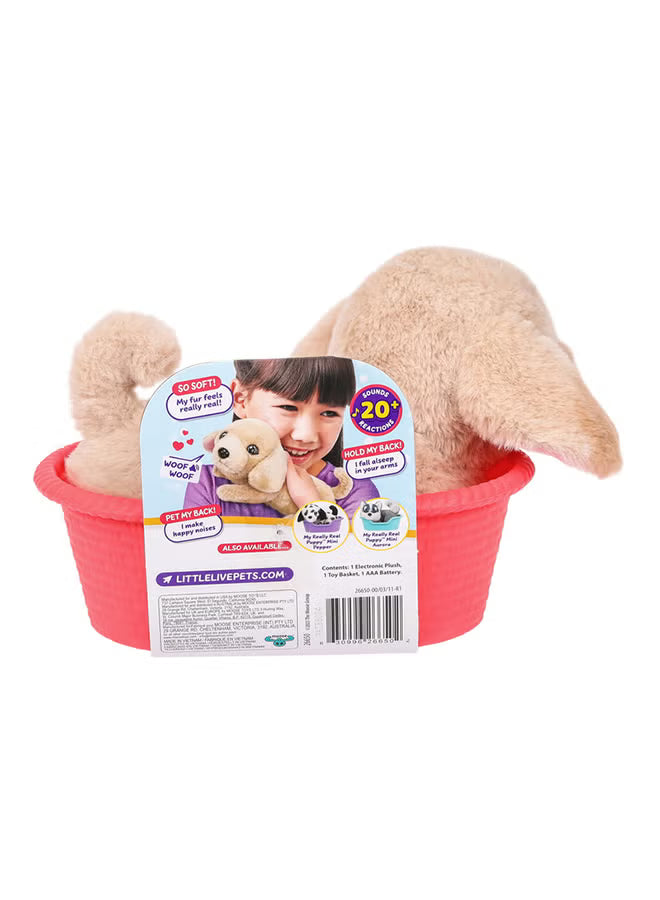 Little Live Pets MRR S2 Puppy Mini - Colorland Toys