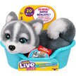 Little Live Pets MRR S2 Puppy Mini 26648