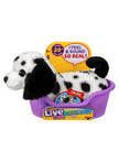 Little Live Pets MRR S2 Puppy Mini