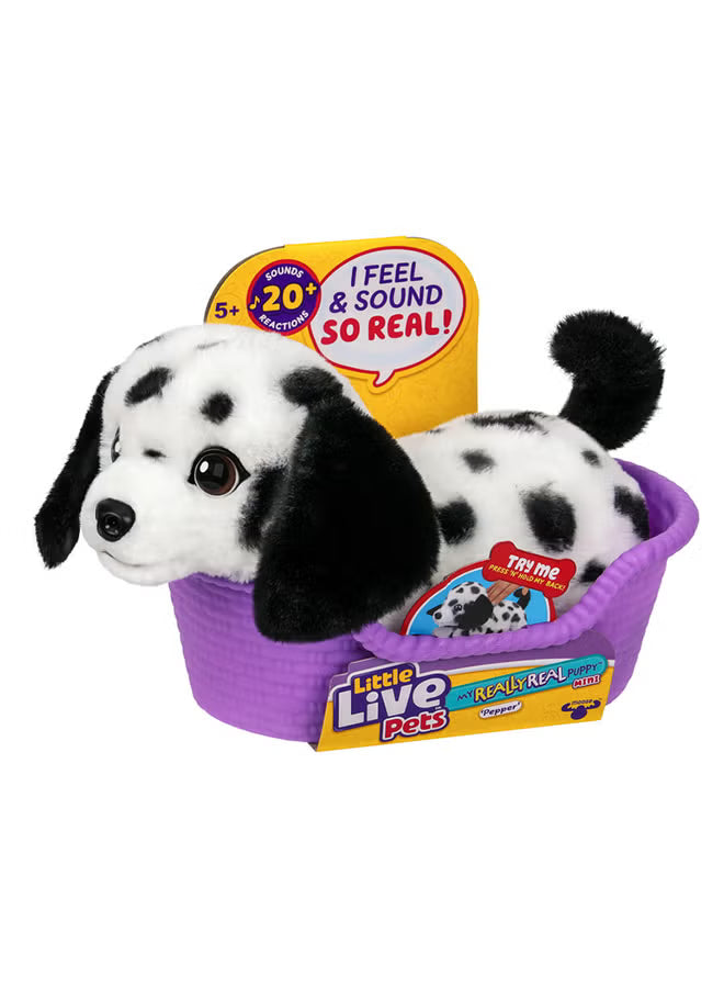 Little Live Pets MRR S2 Puppy Mini - Colorland Toys